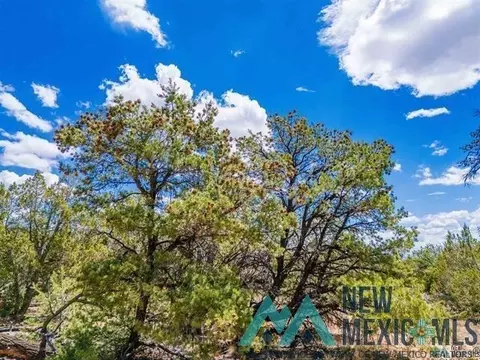 9 Jackrabbit, Pinehill, NM 87357 photo 6