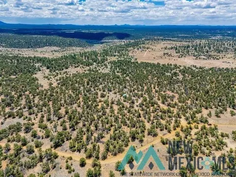 9 Jackrabbit, Pinehill, NM 87357 photo 13