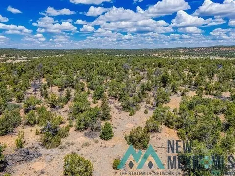 9 Jackrabbit, Pinehill, NM 87357 photo 11