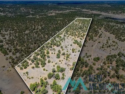 9 Jackrabbit, Pinehill, NM 87357 photo 4