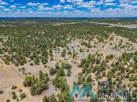 9 Jackrabbit, Pinehill, NM 87357 photo 2