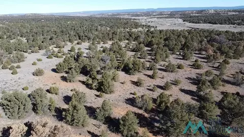 Arrowhead, Pinehill, NM 87357 photo 11