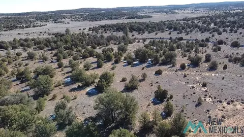 Arrowhead, Pinehill, NM 87357 photo 14