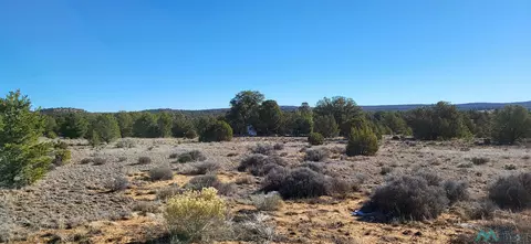 Arrowhead, Pinehill, NM 87357 photo 6