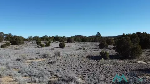 Arrowhead, Pinehill, NM 87357 photo 23