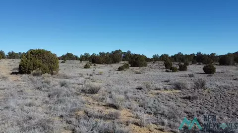 Arrowhead, Pinehill, NM 87357 photo 22