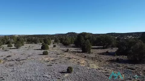 Arrowhead, Pinehill, NM 87357 photo 20