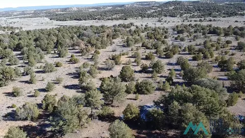 Arrowhead, Pinehill, NM 87357 photo 15
