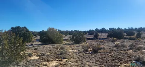 Arrowhead, Pinehill, NM 87357 photo 2
