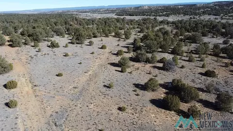 Arrowhead, Pinehill, NM 87357 photo 16