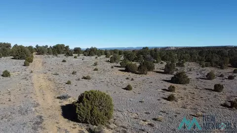Arrowhead, Pinehill, NM 87357 photo 18