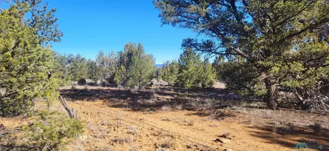 Arrowhead, Pinehill, NM 87357 photo 3