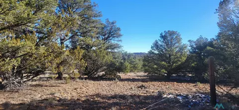 Arrowhead, Pinehill, NM 87357 photo 4