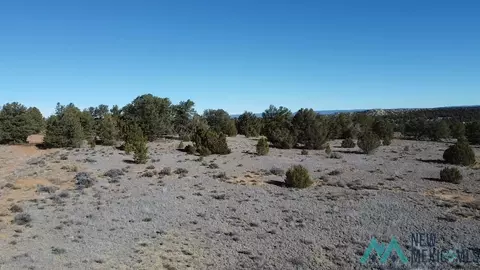 Arrowhead, Pinehill, NM 87357 photo 19
