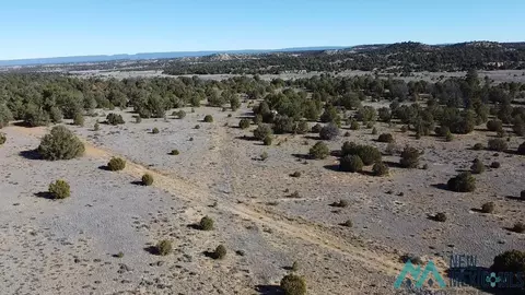 Arrowhead, Pinehill, NM 87357 photo 17
