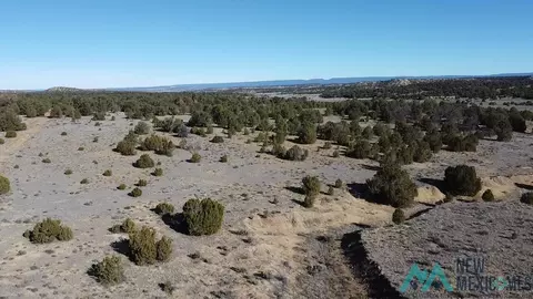 Arrowhead, Pinehill, NM 87357 photo 8
