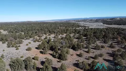 Arrowhead, Pinehill, NM 87357 photo 12