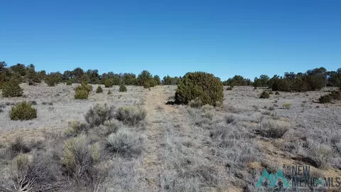 Arrowhead, Pinehill, NM 87357 photo 21