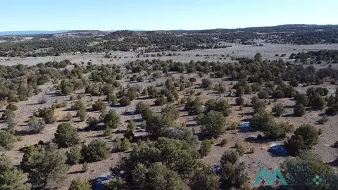 Arrowhead, Pinehill, NM 87357 photo 13