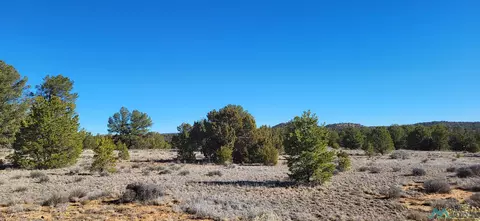 Arrowhead, Pinehill, NM 87357 photo 5