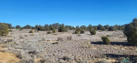 tbd Arrowhead Rd, Pinehill, NM 87357