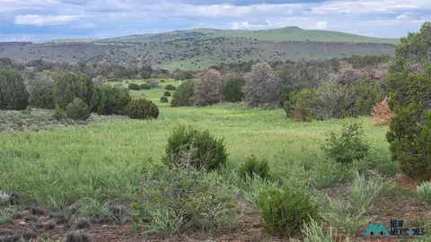49 Sweetwater Dr #83, Quemado, NM 87829