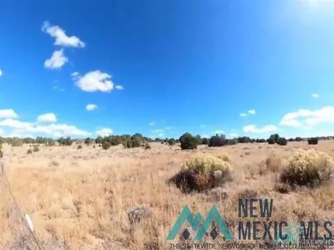 18 Cedar, Pinehill, NM 87357 photo 7