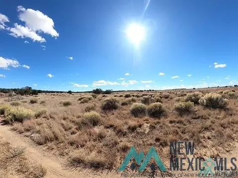 18 Cedar, Pinehill, NM 87357 photo 4
