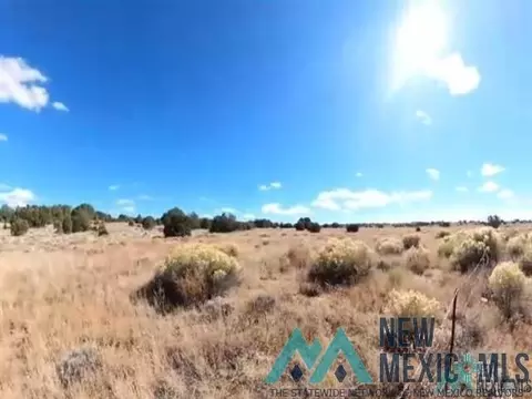 18 Cedar, Pinehill, NM 87357 photo 6