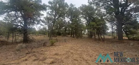 0 Cr 322 Dr, Los Ojos, NM 87551