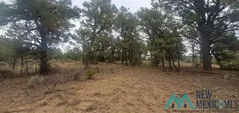 Cr 322 Dr, Los Ojos, NM 87551
