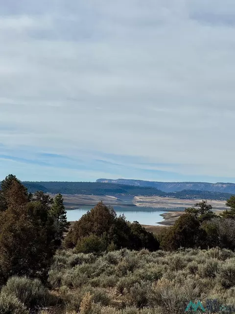 Canyon Road, Los Ojos, NM 87551