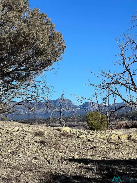Willow Creek, Los Ojos, NM 87551