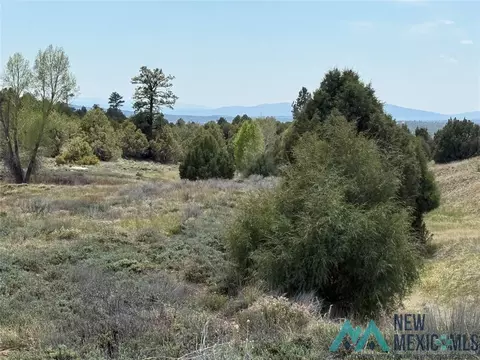 0 Porky Gulch Dr, Chama, NM 87520