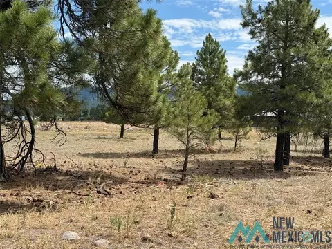 Thistle Loop Dr, Chama, NM 87520 photo 3