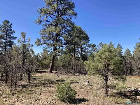 Rim Lots 68 & 69 Dr, Rutheron, NM 87551