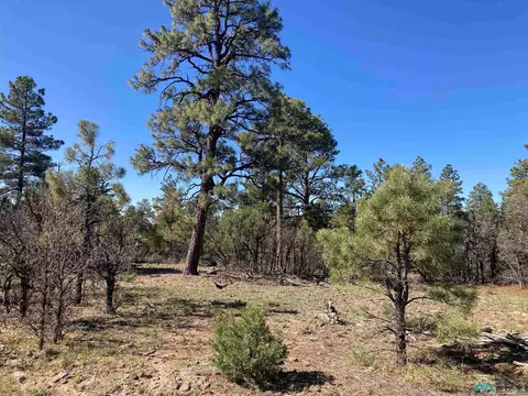 Rim Lots 68 & 69 Dr, Rutheron, NM 87551