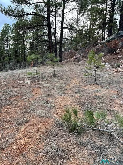 56 Private Dr, Chama, NM 87520