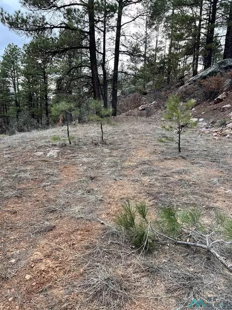 56 1754 Drive, Chama, NM 87520