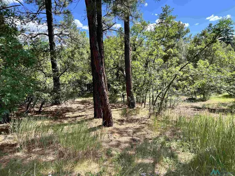 0 Lot 14 Brazos Estates Rd, Chama, NM 87520