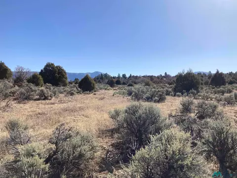 Tierra Grande Lots 24 52 53, Ensenada, NM 87575