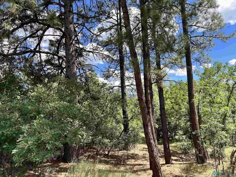 0 Block 2 Lot 15 Brazos Estates Rd, Chama, NM 87520