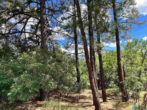 15 Brazos Circle, Chama, NM 87520