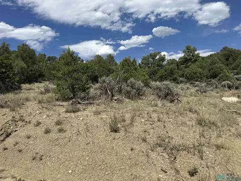 Martingale, Tierra Amarilla, NM 87575