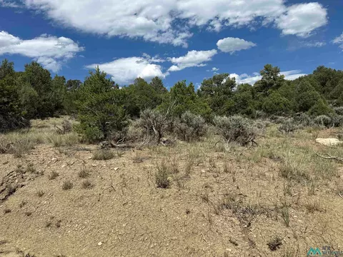 Martingale, Tierra Amarilla, NM 87575