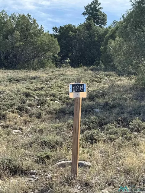 196 341 Rd, Chama, NM 87520