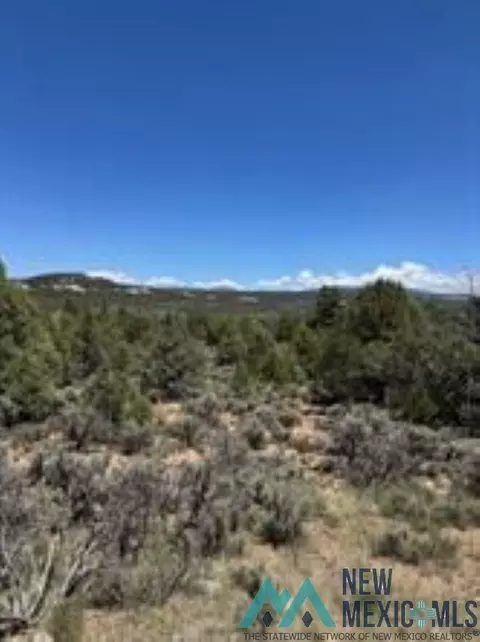 lot1 Unit 5 Talavara, Tierra Amarilla, NM 87575