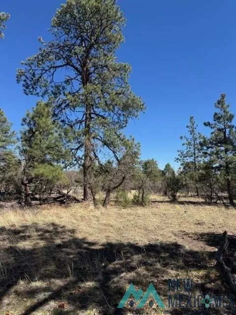 tbd Doe Run, Los Ojos, NM 87551