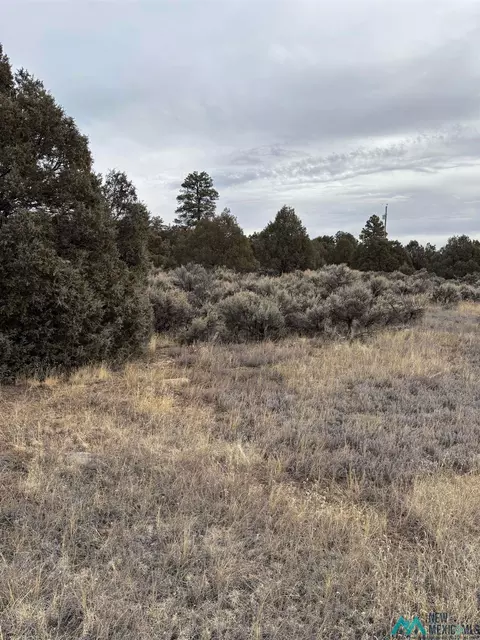 2 Parkview Hls, Los Ojos, NM 87551