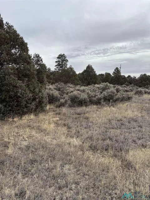 lot S 2 3 Parkview Hls, Los Ojos, NM 87551